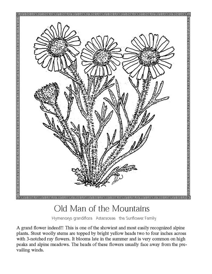 Old Man of the Mountains