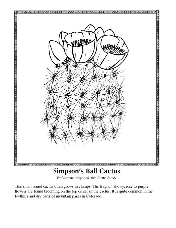 Simson's ball cactus