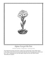 Alpine Forget-me-not