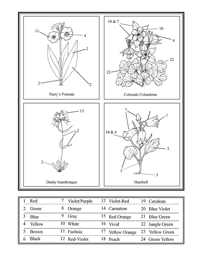 Color of Flowers sheet