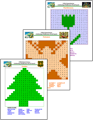 Word search puzzle pages.