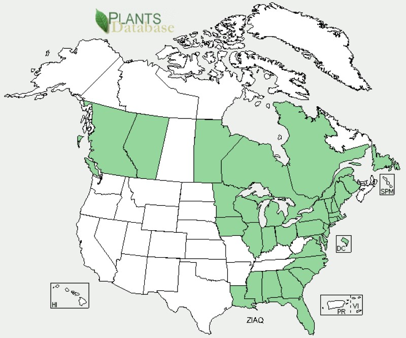 Annual wild Rice, Zizania aquatica, range map.