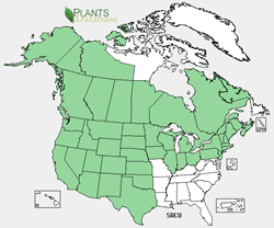 Map of the United States showing states. States are colored green where the species may be found.
