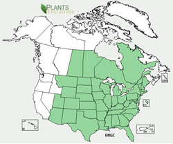 Map of the United States showing states. States are colored green where the species may be found.
