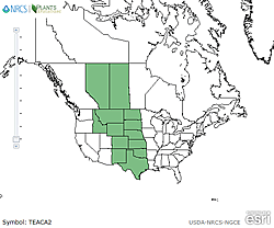 Map of the United States showing states. States are colored green where the species may be found.