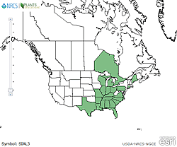 Map of the United States showing states. States are colored green where the species may be found.