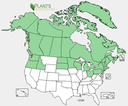 USDA Plants distribution map for the species.