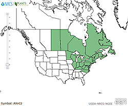 Aralia hispida range map.