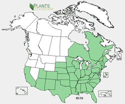 Asclepias tuberosa range map.