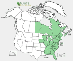 Map of the United States showing states. States are colored green where the species may be found.