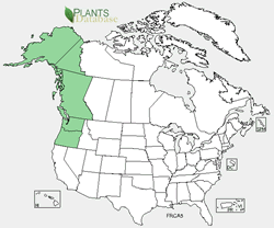 USDA Plants distribution map for the species.