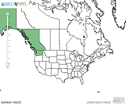 Map of the United States showing states. States are colored green where the species may be found.
