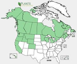 Drosera anglica range map.