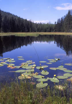 Tepee Lake.