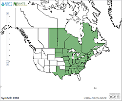 Map of the United States showing states. States are colored green where the species may be found.