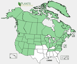 Map of the United States showing states. States are colored green where the species may be found.