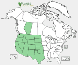 USDA Plants distribution map for the species.