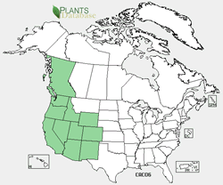 USDA Plants distribution map for the species.