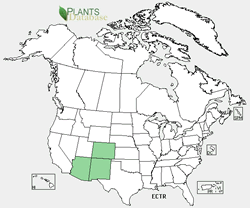 USDA Plants distribution map for the species.