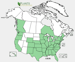 USDA Plants distribution map for the species.