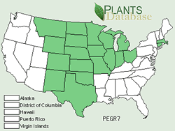 Map of the North America showing areas colored green where the species may be found.