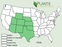 Map of the United States showing states. States are colored green where the species may be found.