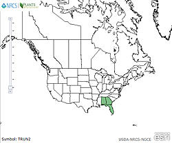 USDA Plants distribution map for the species.