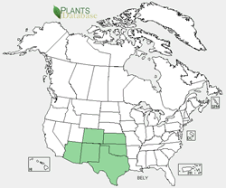 Map of the United States showing states. States are colored green where the species may be found.