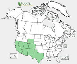 Map of the United States showing states. States are colored green where the species may be found.