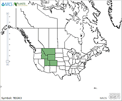Map of the United States showing states. States are colored green where the species may be found.