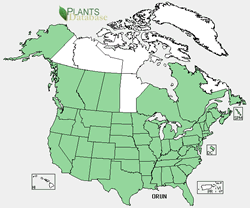 Map of the United States showing states. States are colored green where the species may be found.