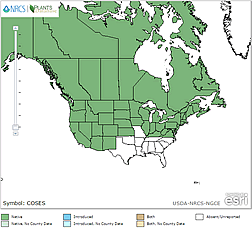 Cornus sericea range map.