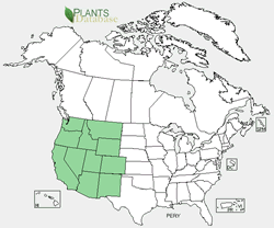 Penstemon rydbergii range map.