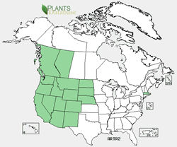 Map of the United States showing states. States are colored green where the species may be found.