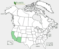 Carnegiea gigantea range map.