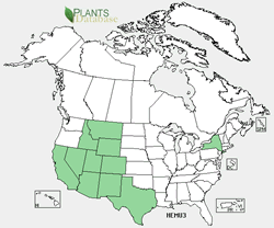 USDA Plants distribution map for the species.