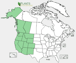 Map of the United States showing states. States are colored green where the species may be found.