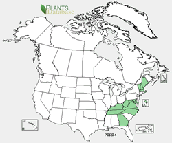 Map of the United States showing states. States are colored green where the species may be found.