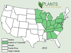 Map of the United States showing states. States are colored green where Twinleaf may be found.