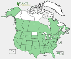 Nasturtium officinale range map.