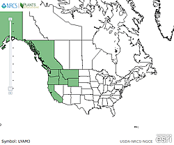 Map of the United States showing states. States are colored green where the species may be found.