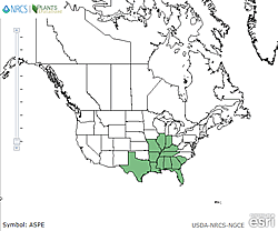 Map of the United States showing states. States are colored green where the species may be found.