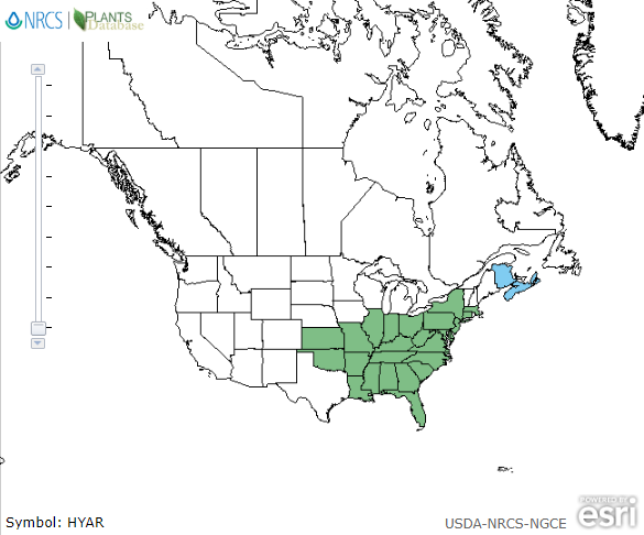 Map of the United States showing states. States are colored green where the species may be found.
