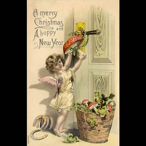 Christmas card displaying the hanging of Amanita muscaria on a door.