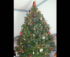 decorated Christmas tree.
