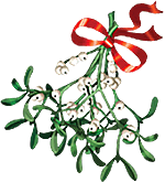 Mistletoe and ribbon.
