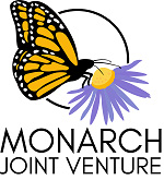 Monarch Butterfly