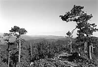 Viewshed of Horse Mountain Botanical Area.