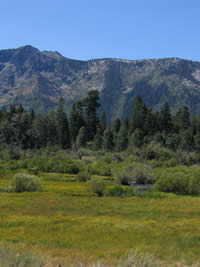 View across Taylor Marsh to Mt. Tallac.
