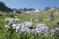 American Basin